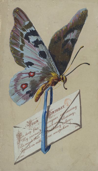 Přání k narozeninám (chromolit) od English School