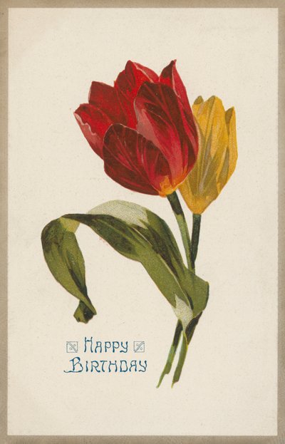 Přání k narozeninám (chromolit) od English School