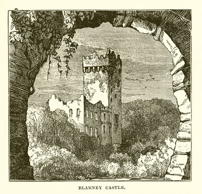 Hrad Blarney od English School