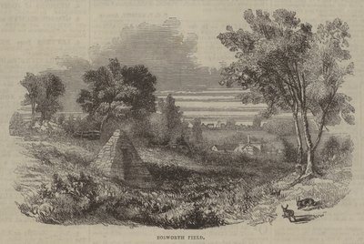 Bosworth Field od English School