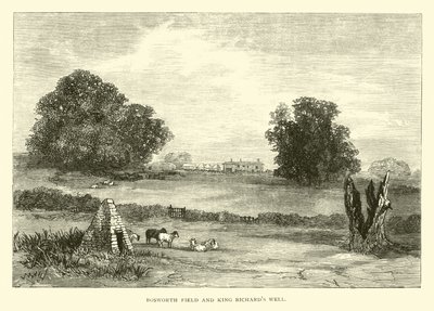 Bosworth Field a King Richards Well od English School