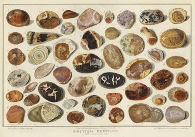 Britské oblázky (chromolitho) od English School