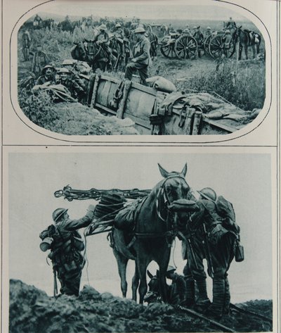 Britští střelci se soumarskými koňmi, Flandry, srpen 1917 od English School