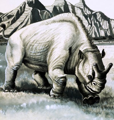 Brontotherium z doby oligocénu od English School