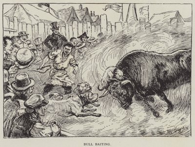 Býčí návnada (litho) od English School