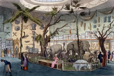 Bullocks Museum, 22 Piccadilly, Londýn, z Ackermanns Repository of Arts, 1809 od English School