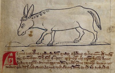 CCA-LitMs/D/10 fol. 10r Zadek, z Bestiáře od English School