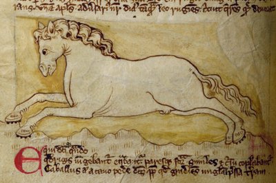 CCA-LitMs/D/10 fol. 10r Kůň, z Bestiáře od English School