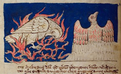 CCA-LitMs/D/10 fol. 17v Pheonix, od Bestiary od English School
