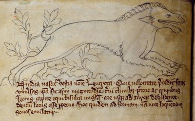 CCA-LitMs/D/10 fol. 3v Leucrota, z Bestiáře od English School