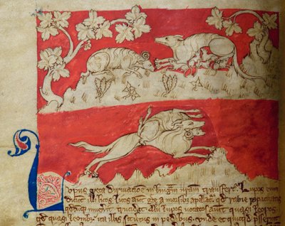 CCA-LitMs/D/10 fol. 4v Wolf, z Bestiáře od English School