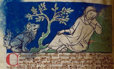 CCA-LitMs/D/10 fol. 5v pes, od Bestiáře od English School