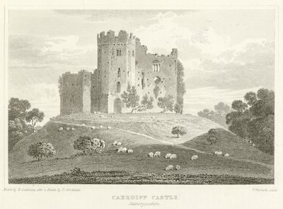 Caerdiff Castle, Glamorganshire (rytina) od English School