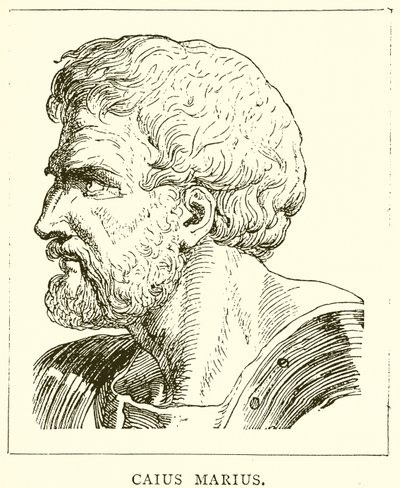 Caius Marius od English School