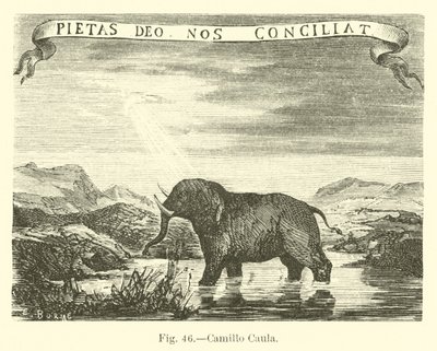 Camillo Caula od English School