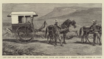 Cape Cart poslali domů mladí princové Albert Victor a George jako dárek princezně z Walesu (rytina) od English School