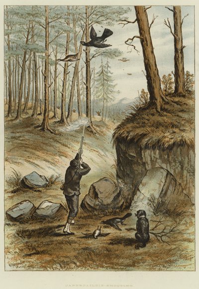 Capercailzie-Shooting (chromolitho) od English School