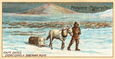 Kapitán Oates cvičí sibiřského poníka (chromolitho) od English School