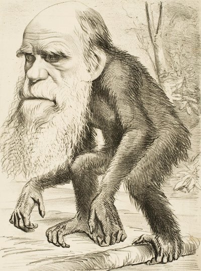 Karikatura Charlese Darwina od English School