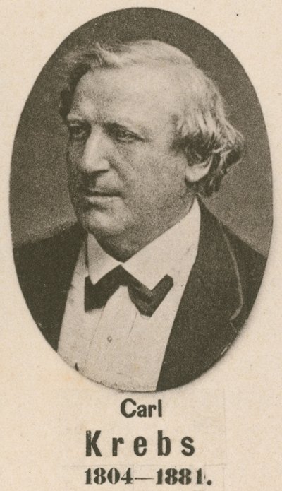 Carl Krebs (hlubotisk) od English School