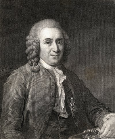 Carl von Linne nebo Linné (1707-78) z Galerie portrétů, vydané v roce 1833 od English School