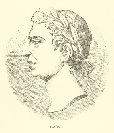 Cato od English School