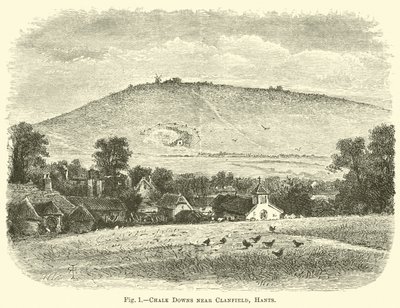 Chalk Downs poblíž Clanfield, Hants od English School