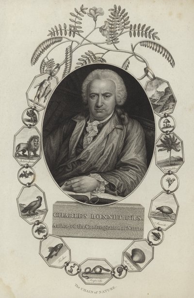 Charles Bonnet od English School