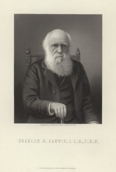 Charles R. Darwin od English School