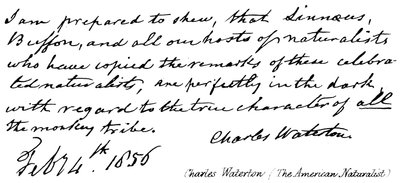 Charles Waterton (Americký přírodovědec) od English School