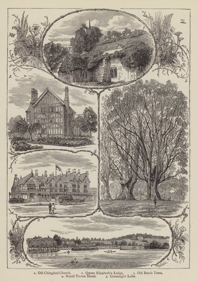 Chingford (rytina) od English School