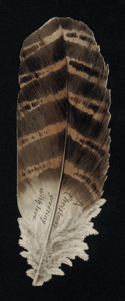 Vánoční přání ve tvaru pírka, blahopřání. (chromolitho) od English School
