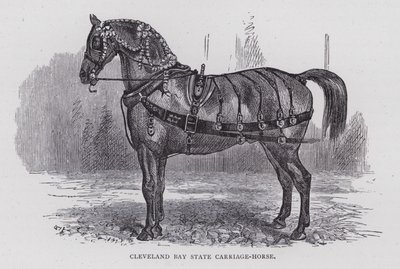 Cleveland Bay State Carriage-Horse (rytina) od English School