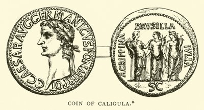 Mince Caligula od English School