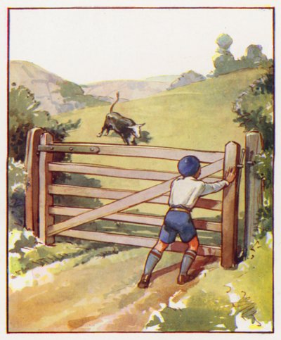 Příkazy: Rychle zavřete bránu (barevná litografie) od English School