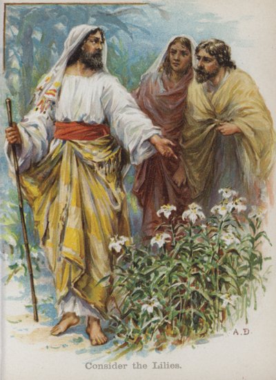 Zvažte lilie (chromolitho) od English School