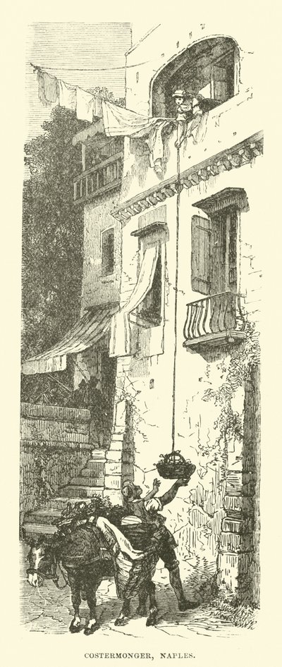 Costermonger, Neapol od English School
