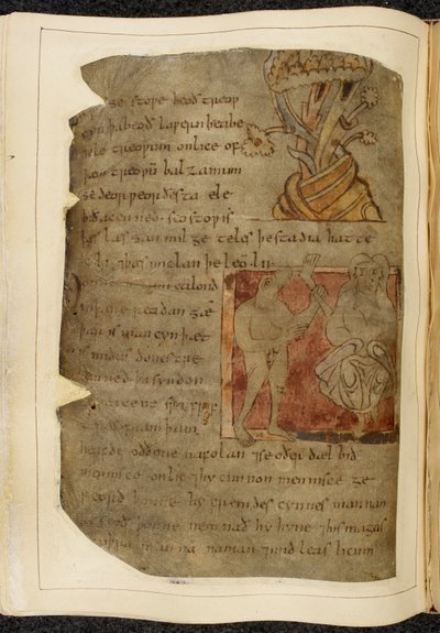 Bavlník Vitellius A. XV f.103v, Strom, ze kterého roste balzám; donestre, muž se zvířecí hlavou, vlevo držící lidskou nohu a chodidlo, a osoba vpravo, ilustrace od Beowulfa, z „Nowellova kodexu“ (inkoust na pergamenu) od English School