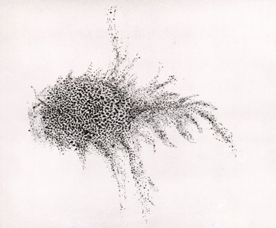 "Krabí mlhovina" od Williama Parsonse z knihy "Observations on some of the Nebulae" z časopisu "Philosophical Transactions of the Royal Society". od English School