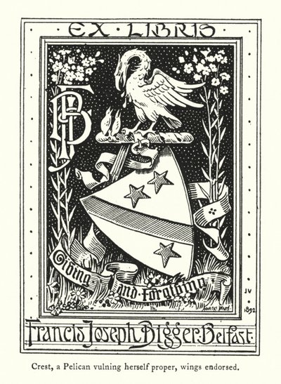 Crest, pelikán, který se zranil, křídla schválena (rytina) od English School