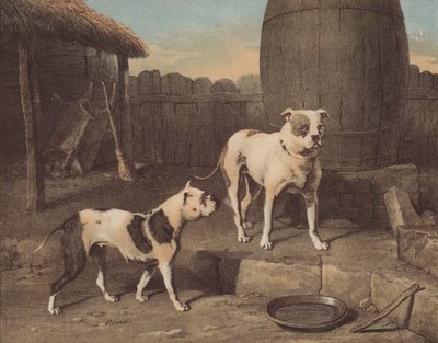 Dětská postýlka a Rosa (chromolitho) od English School