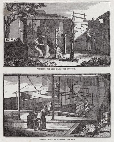 Pěstování hedvábí (rytí) od English School