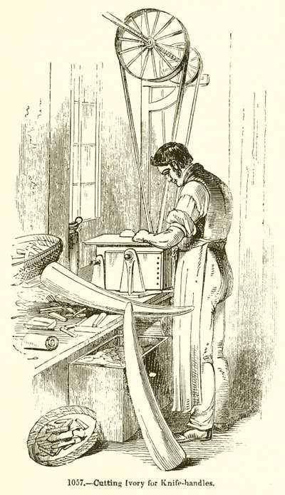 Řezání slonoviny pro rukojeti nožů od English School