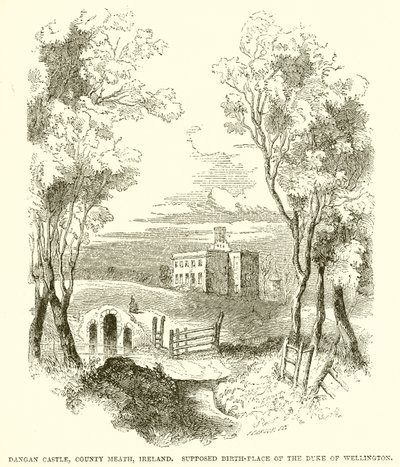 Hrad Dangan, hrabství Meath, Irsko. Údajné místo narození vévody z Wellingtonu od English School