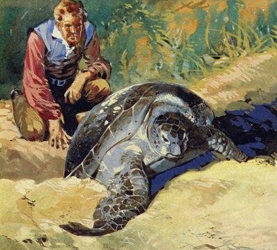 Darwina zajímalo, proč se obří želvy z Galapág na jednotlivých ostrovech liší od English School
