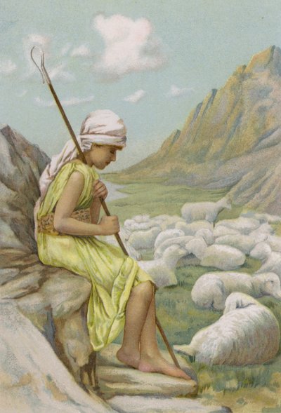 David pase ovce (chromolit) od English School