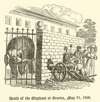 Smrt slona v Ženevě, 31. května 1820 od English School