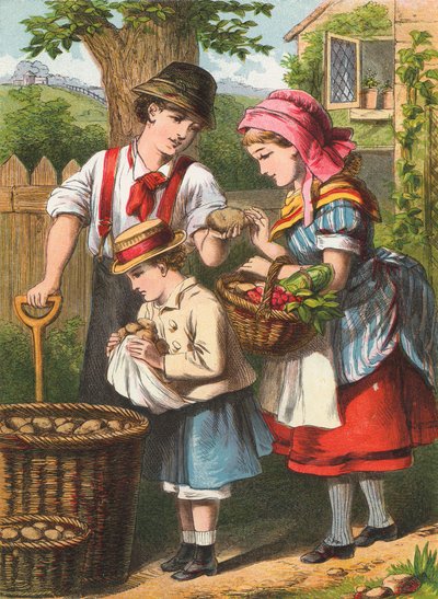Kopání brambor od English School