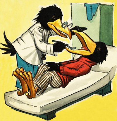 Doktor vrána od English School