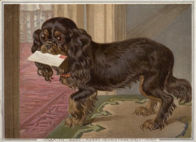 Pes nesoucí v tlamě dopis (chromolitho) od English School